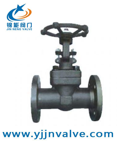 Z41H锻钢闸阀